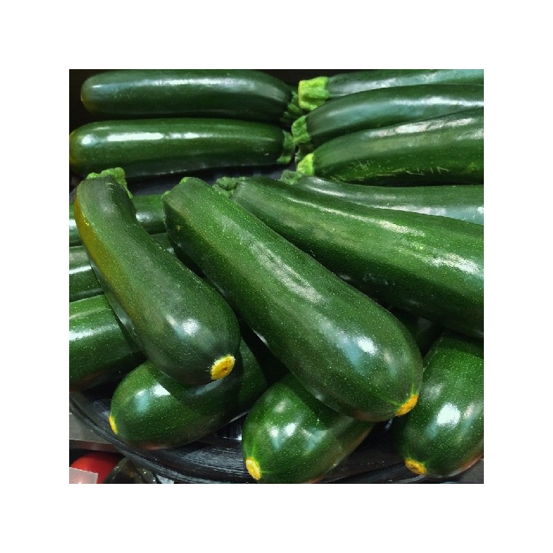 Courgette Ambassador