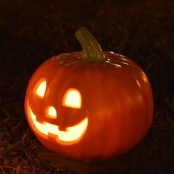 Potiron Jack O'Lantern (Halloween)