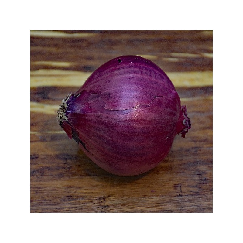 Oignon Red Créole