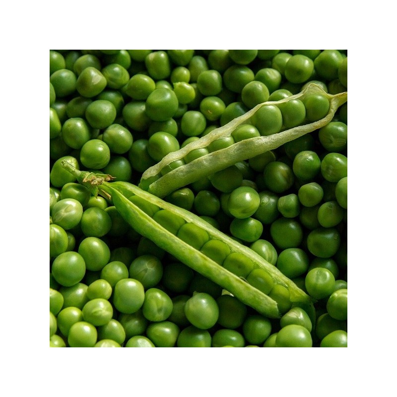Pois Merveille d'Italie