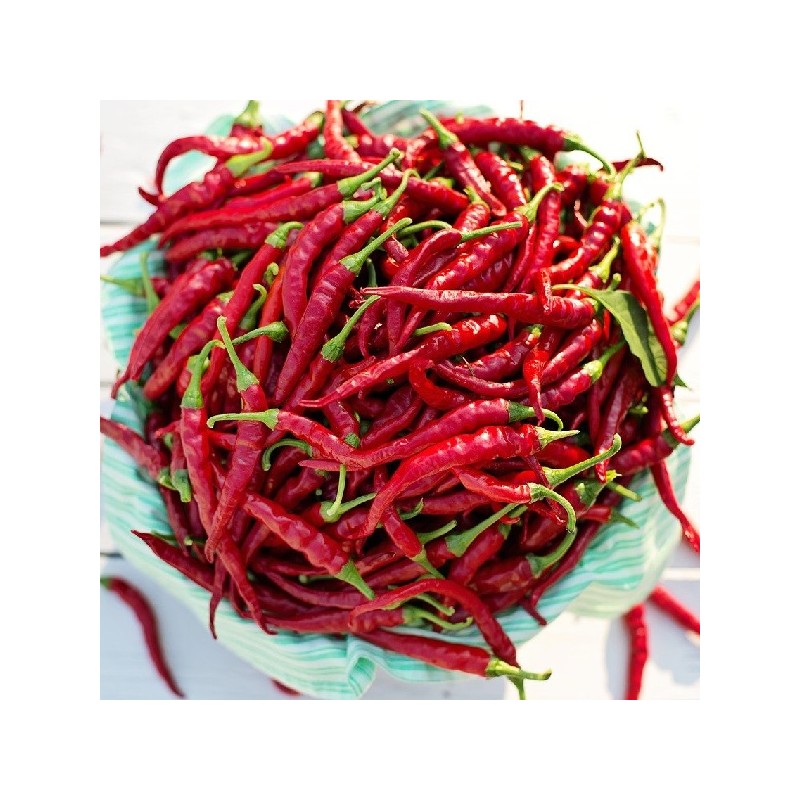 Piment de Cayenne