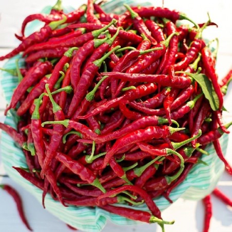 Piment de Cayenne