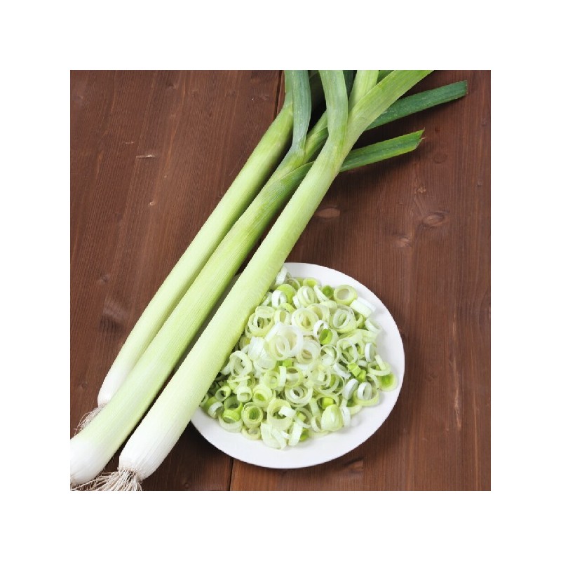 Poireau Géant de Bulgarie