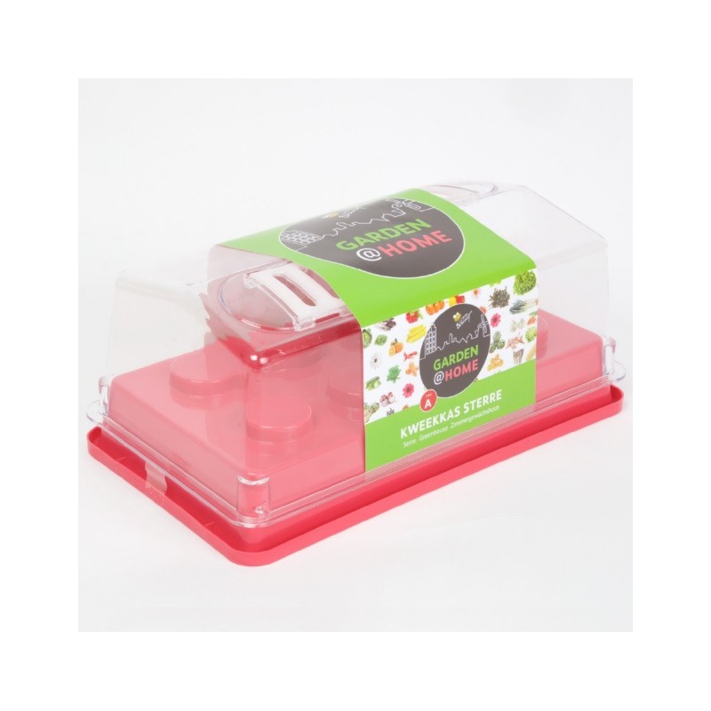 Mini Serre de Semis Rigide avec Aérations