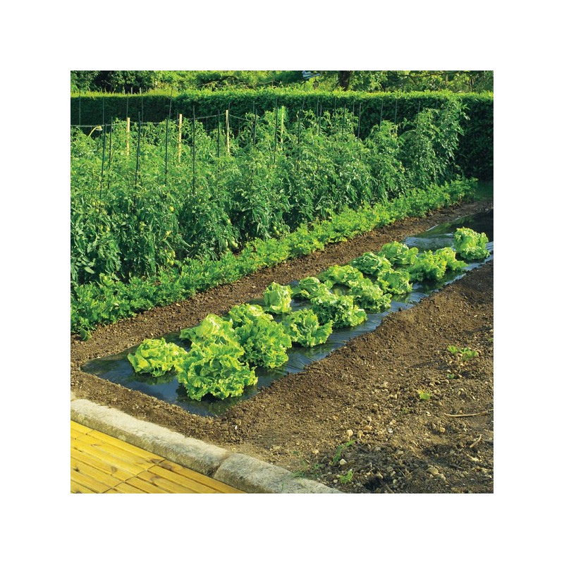 Film de Paillage Toutes Cultures