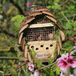 Hôtel à Insectes
