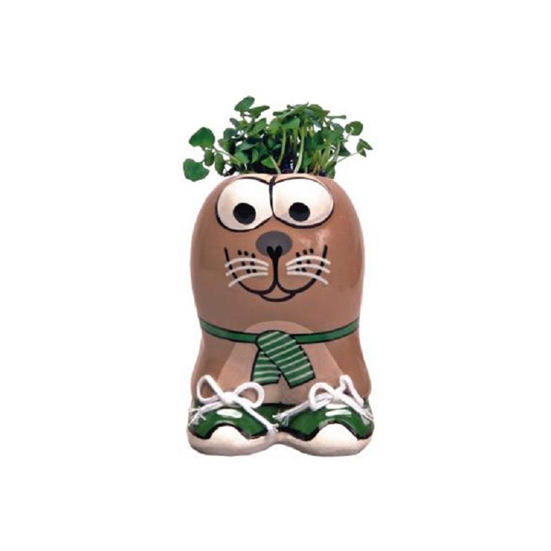 Pot de Culture MUNAKUPPI - Phoque