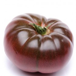 Tomate Cherokee purple
