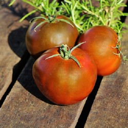 Tomate Noire de Crimée