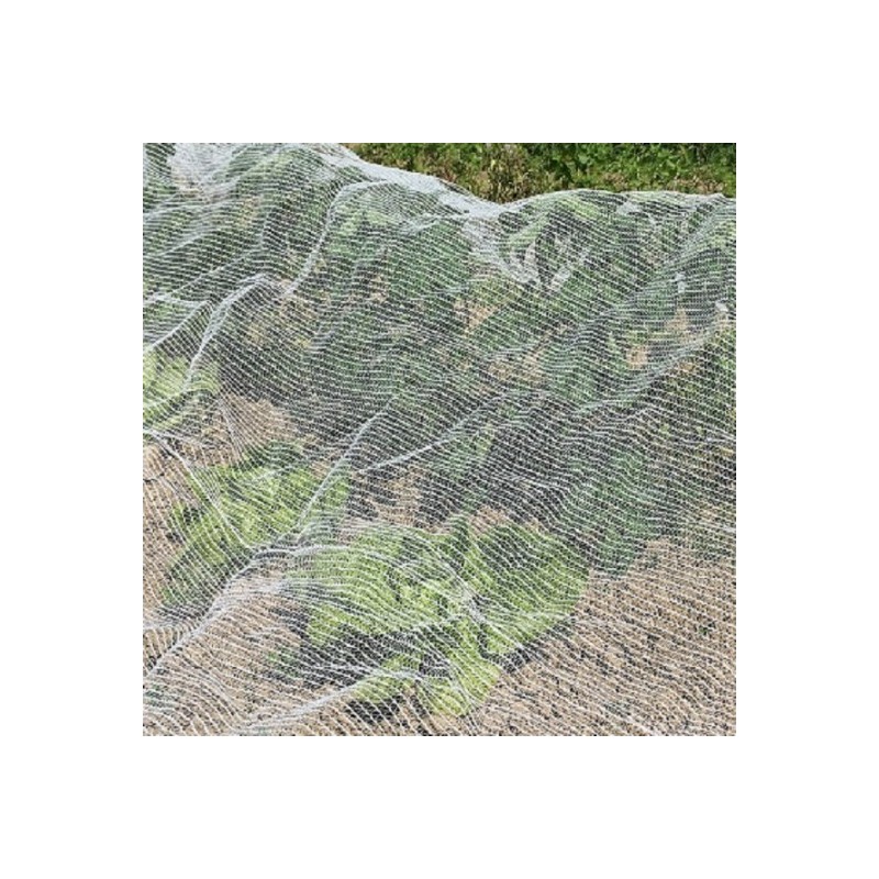 Filet anti-Insectes - 60g/m2 -  2 x 6m