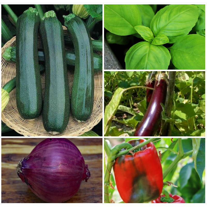 Collection légumes du Soleil  (4 sachets+1 gratuit)