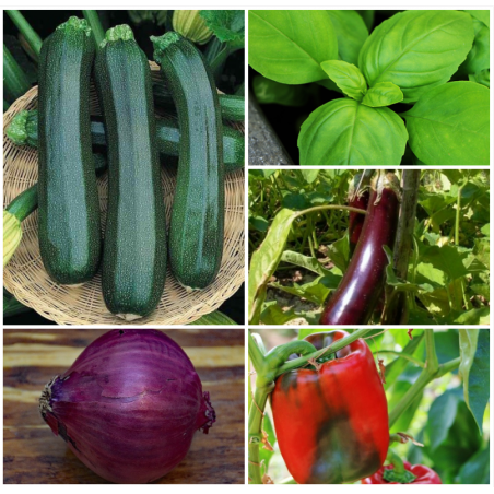 Collection légumes du Soleil  (4 sachets+1 gratuit)
