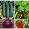 Collection légumes du Soleil  (4 sachets+1 gratuit)