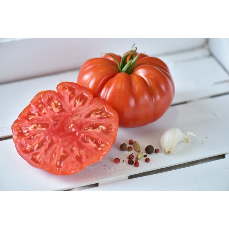 Tomate Marbonne F1