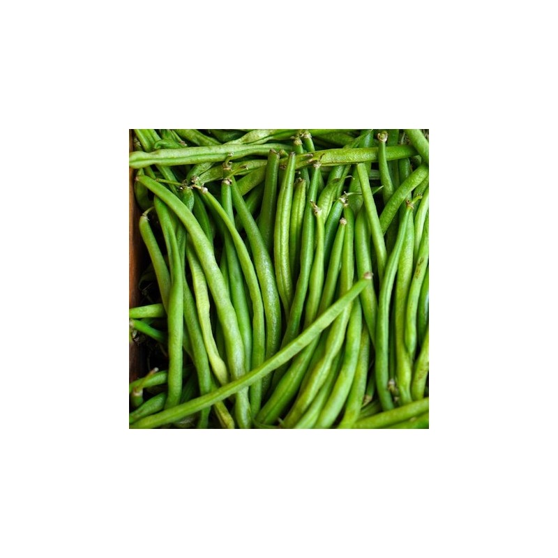 Haricot Nain Filet Mangetout Compass