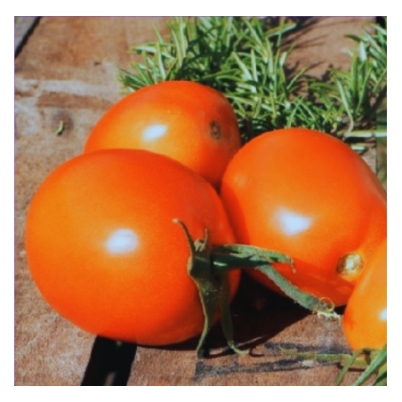 Tomate Rio Grande type Roma