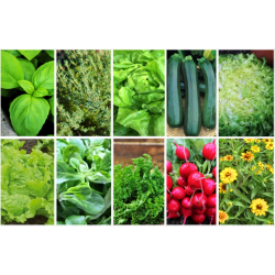 Le Petit Potager (Collection de 10 sachets)