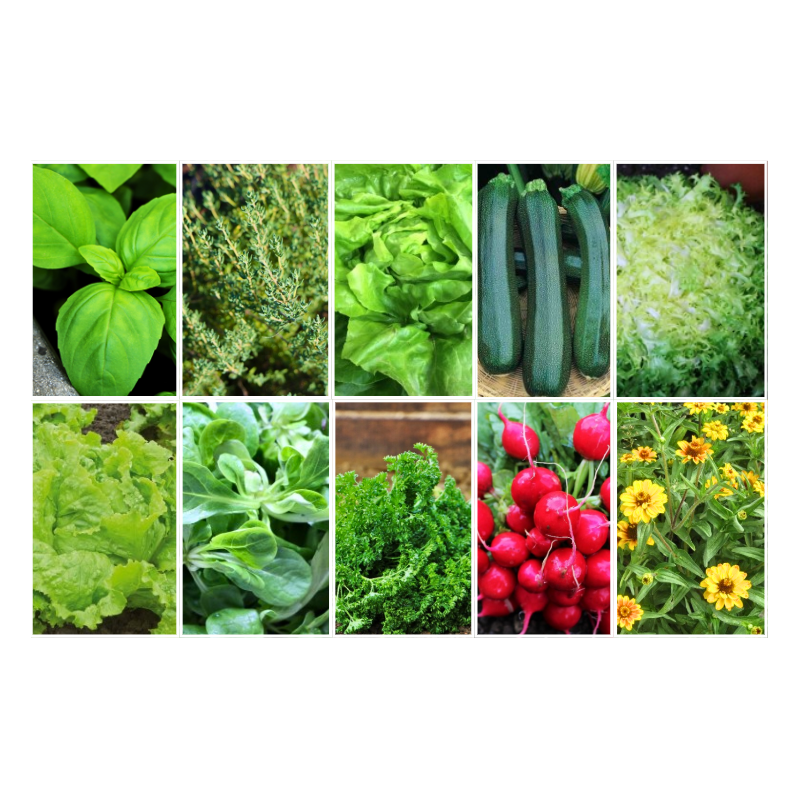 Le Petit Potager (Collection de 10 sachets)