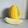 Melon Canari 2