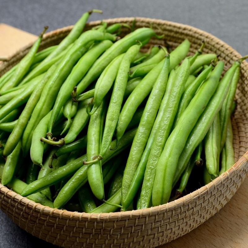 Haricot nain mangetout  Saxa