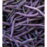 Haricot à Rame Blauhilde