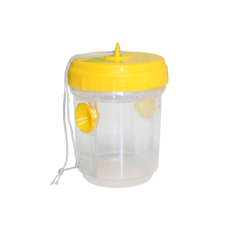 1 Piège à guêpes, frelons