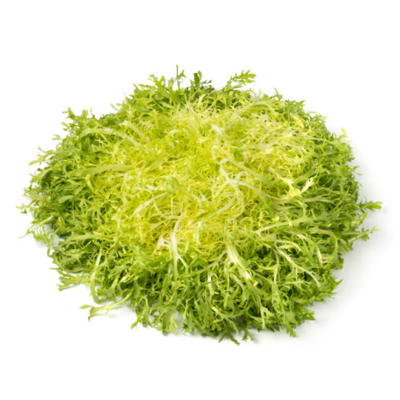Chicorée Frisée de St Laurent
