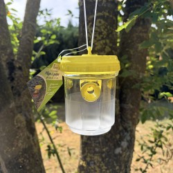 1 Piège à guêpes, frelons