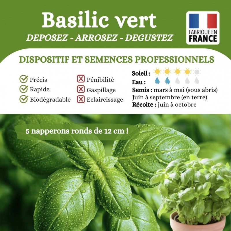 Basilic Grand Vert - 5 napperons