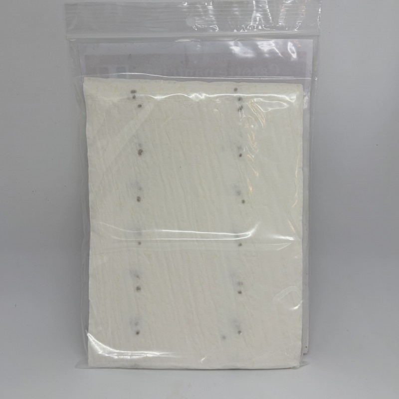 Carotte Nantaise Hekla F1 - 5 x 1m