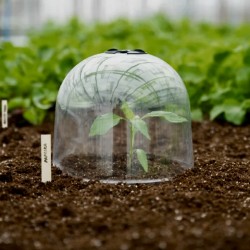 CLOCHE DE CULTURE EN PVC x3
