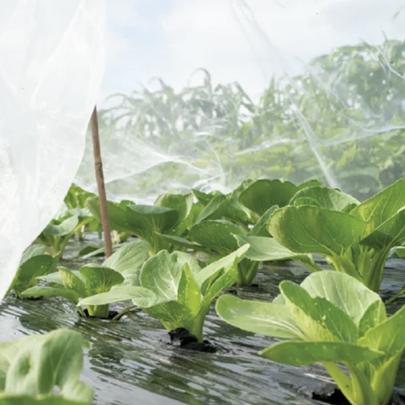 VOILE ANTI-INSECTES - 2,10m x 4,5m