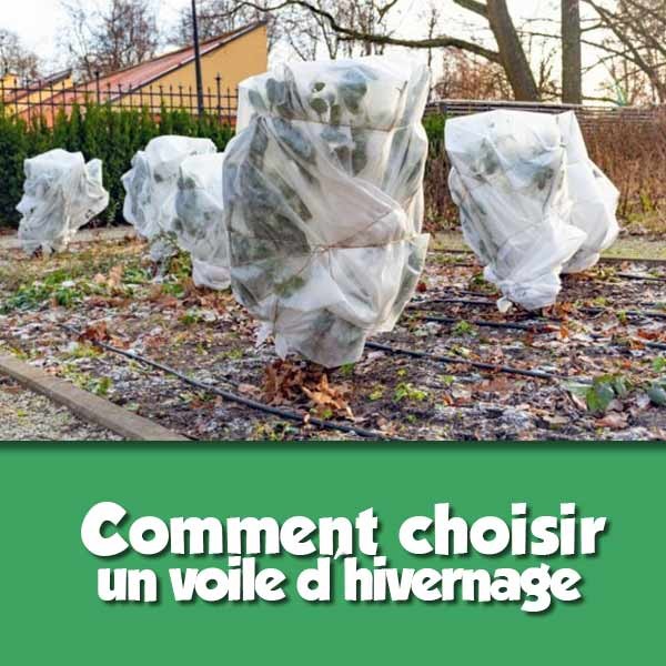 Comment choisir un voile d'hivernage 