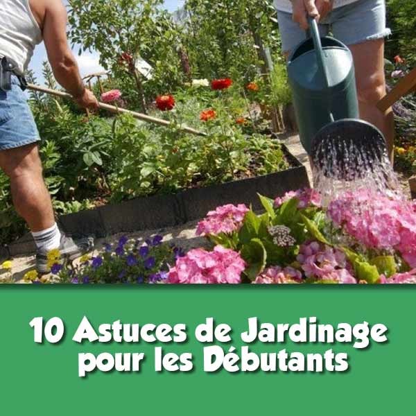  10 Astuces de Jardinage pour les Débutants : Guide Complet pour Réussir Votre Premier Jardin