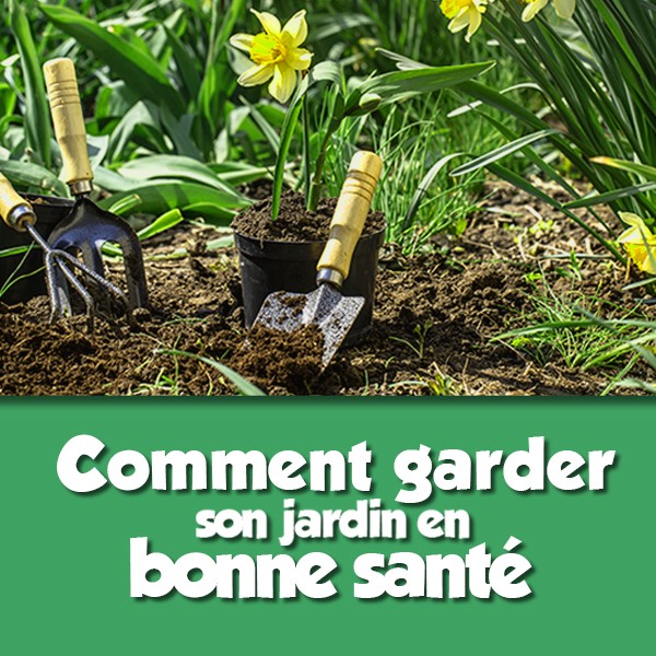 Comment garder son jardin en bonne santé ?