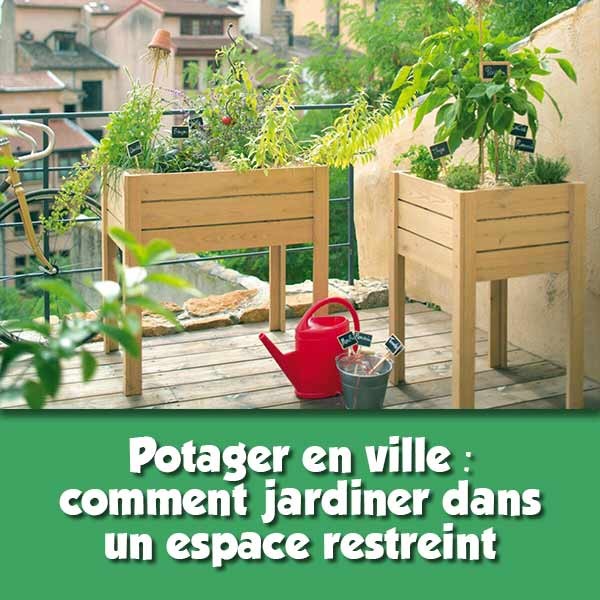 Potager en Ville : Des Astuces pour Jardiner dans un Espace Restreint