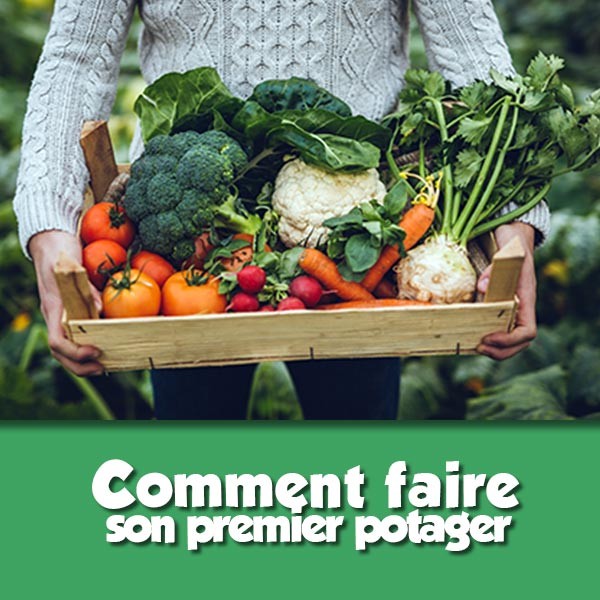 Comment faire son premier potager 